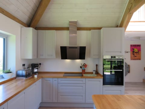 induction hob and double Bosch oven