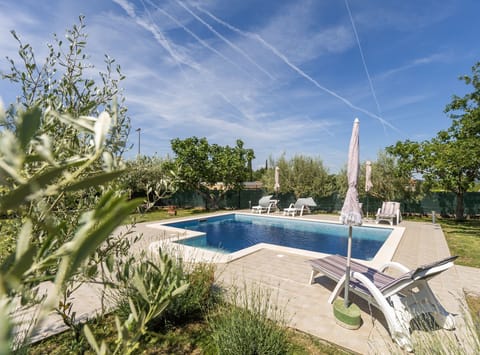 Villa (Villa SABINA - Breg Ivanovci - Three ) | Pool