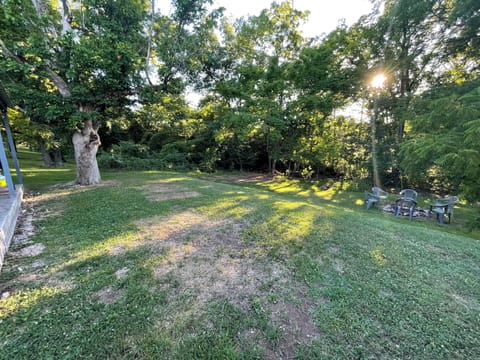 Back yard- fence coming sometime in July!