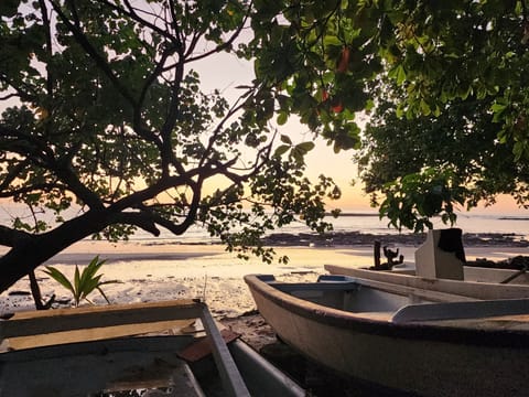 Beach nearby, black sand