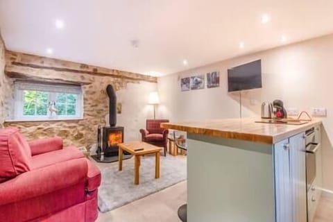 Downstairs living space with wood burning stove