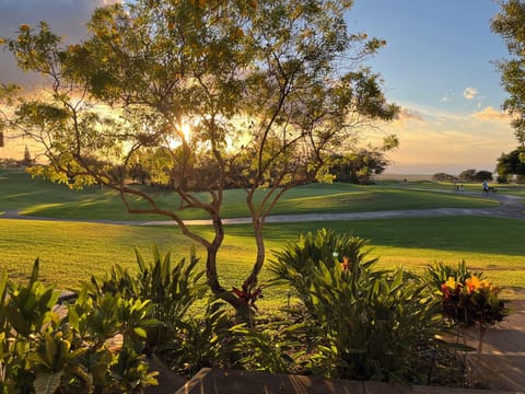 Gorgeous Views Throughout