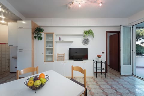 Apartment | Living area | TV