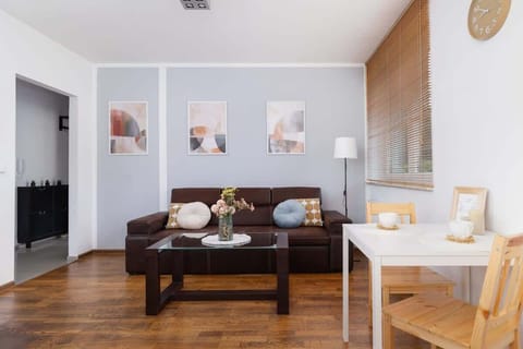 Comfortable, fold-out sofa in the living room. 