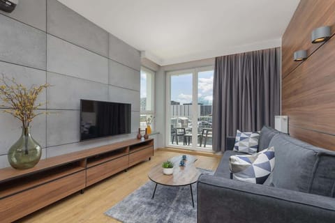 Living room with a comfortable sofa and TV. 
