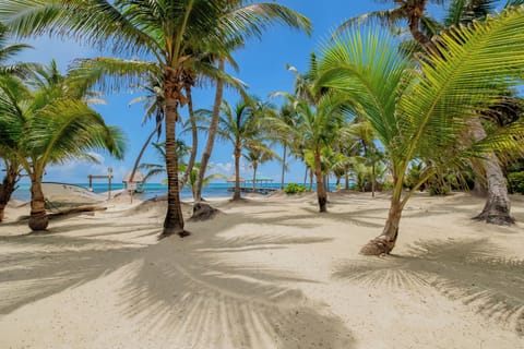 Your View of the Caribbean Sea