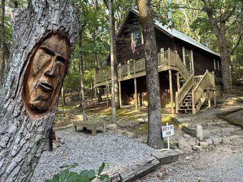 Bird`s Eye View - where trees talk, birds sing, deer roam.