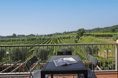 Apartment | View from room