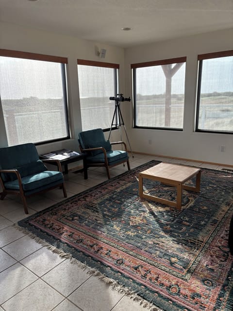 Settle into your comfortable dining space with elegant chairs and beautiful rug, where natural light streams through large windows.