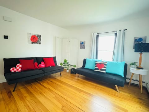 2 couches both futons extra blankets !!