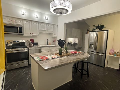 Cooking essentials, salt, pepper,oil, spices stove,dishwasher,food disposal.