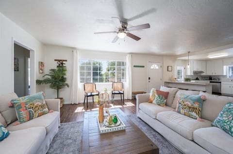 Bohemian Oasis on Vine (1196)