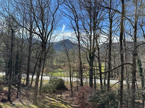 Winter view 2026
