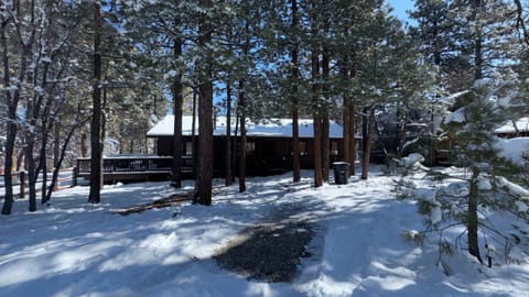 Snow covered Big Bear Cool Cabins, Grizzly's Getaway