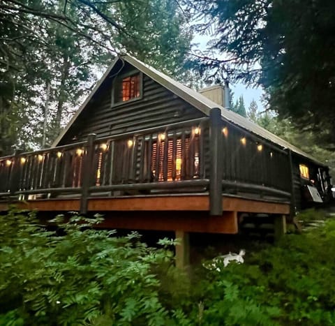 The back of the cabin with string lights create a relaxing ambience for you and your group. 