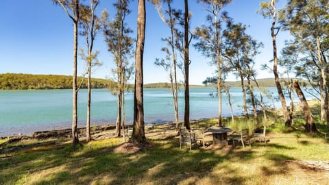 Lakefront View