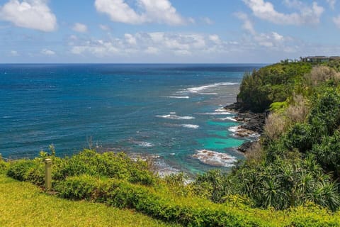 Your "windex water" view from the Lanai!