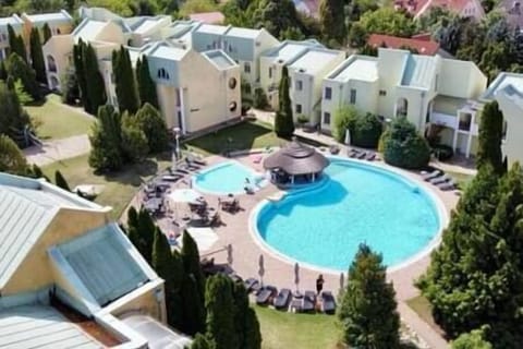 pool and garden