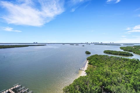 Wildlife, including dolphin visits, jumping fish, diving birds, and plentiful boat traffic are all part of the entertainment you'll enjoy in the Bay.