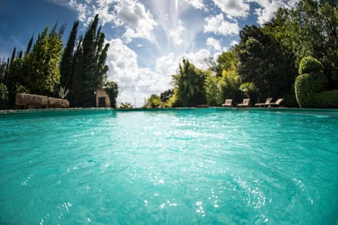 Cloud, Water, Sky, Plant, Natural Landscape, Tree, Swimming Pool, Coastal And Oceanic Landforms, Arecales, Lake