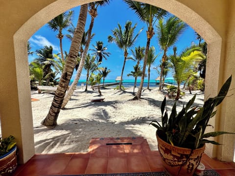 The stunning colours of Ambergris Caye