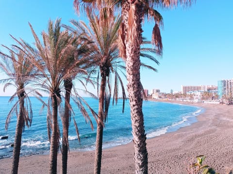 Apartment | Beach