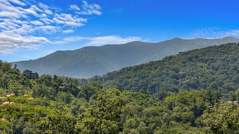 Another Amazing View Of The Smokies