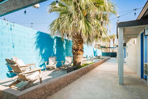 Outdoor Lounge Retreat: Sip cocktails among palm trees on comfy chairs by vibrant blue walls!