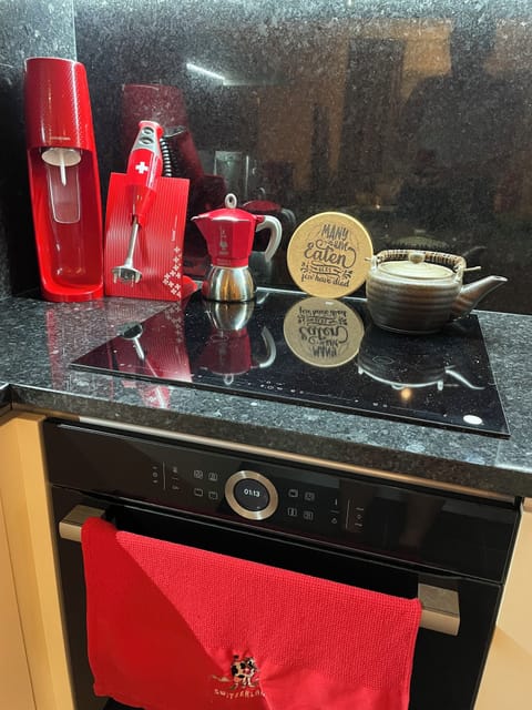 Fully quipped kitchen with induction hob, oven, blender...
