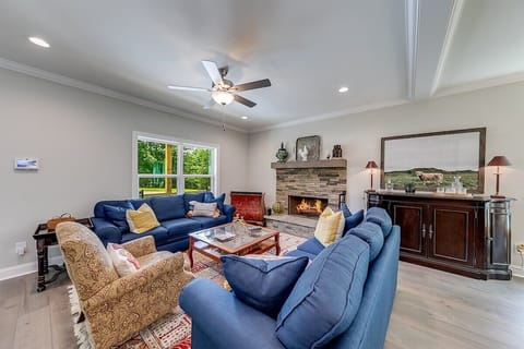 Living area with fireplace