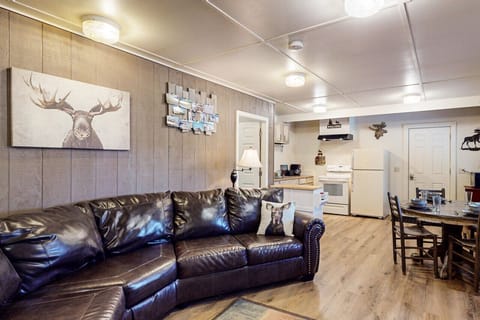 Spacious Living Room Area