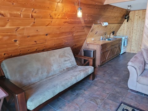 LIVING ROOM:  Features a sofa, futon, and a large television with cable television.