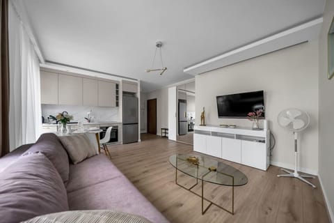 Comfortable Living Room with Sofa Bed and Smart TV | Book Now with RENTUJEMY