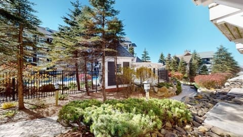 Fir, Tree, Neighborhood, Nature, Outdoors