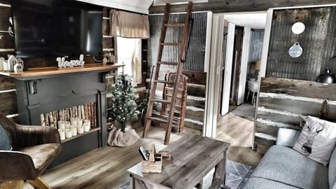 Living Room & loft ladder