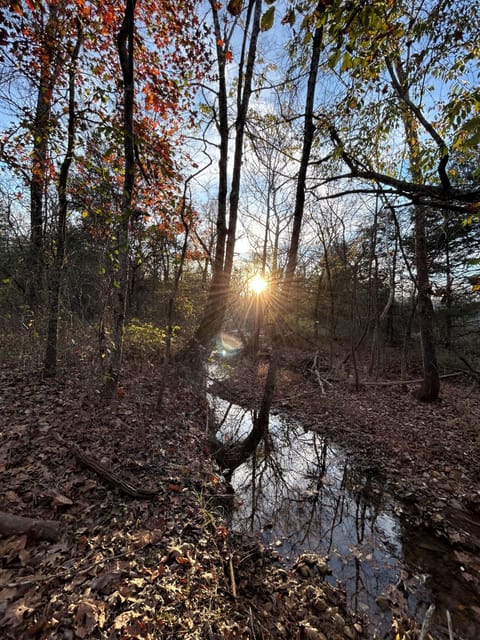 Sunset over back creek