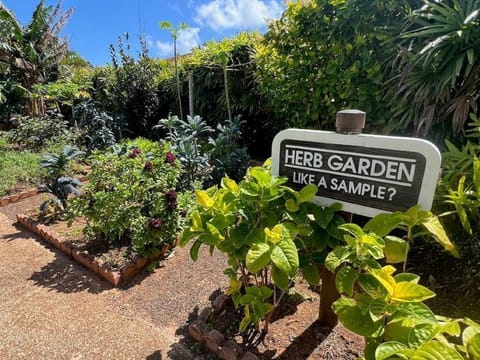 Pick some herbs for the right flavor for your BBQ