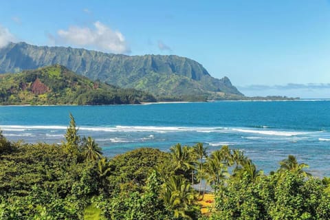 Enjoy this breathtaking view from our lanai. 