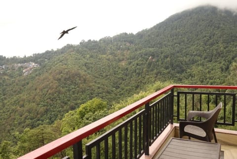 Valley View Room | Free WiFi