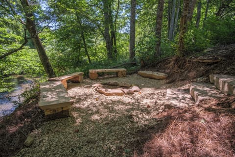 Caddisfly Court Fire Pit