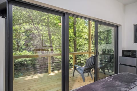 Overlooking the French Broad River (photo taken prior to hot tub installation on porch).