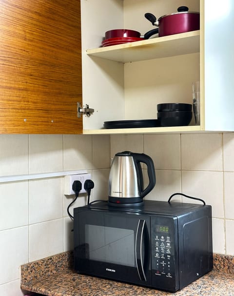 Classic Studio, Private Bathroom, City View | Microwave