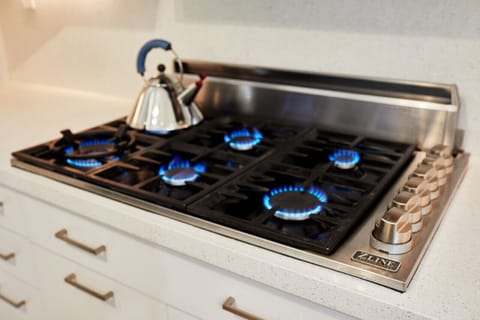 Cook like a pro on the sleek ZLine gas range—style and performance in one.