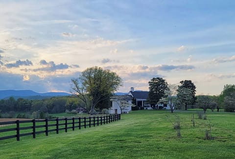Tranquility. Retreat to this 155-acre rural farm. 