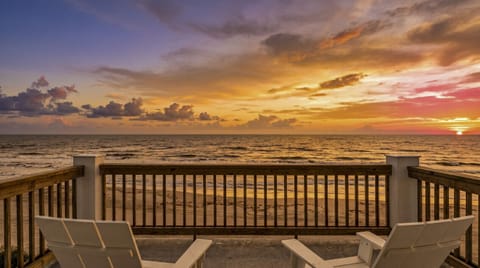 Welcome to paradise at Fishy Business!