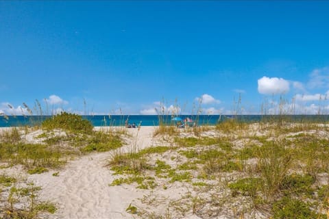 Condo, 2 Bedrooms | Beach | On the beach
