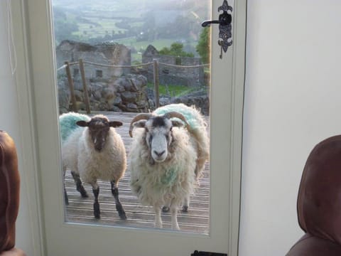 Birkend Farmhouse, Low Row near Reeth