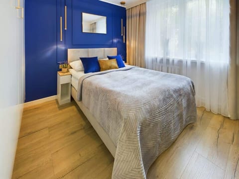 A bright bedroom with a deep blue accent wall, cozy bed, and wooden flooring. Natural light flows through a large window with sheer curtains.