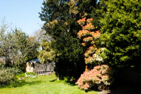 House | Property grounds