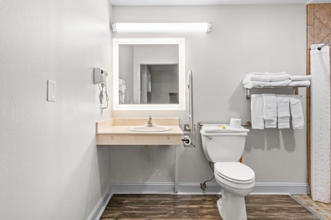 Standard Suite, Multiple Beds, Accessible, Non Smoking | Bathroom | Eco-friendly toiletries, hair dryer, towels, soap